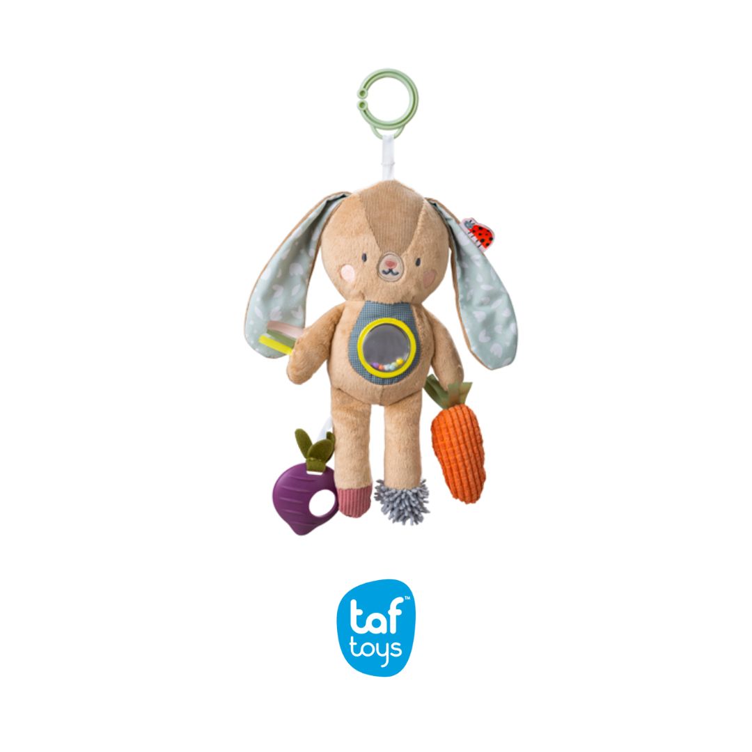 Taftoys Jenny Activity Toy